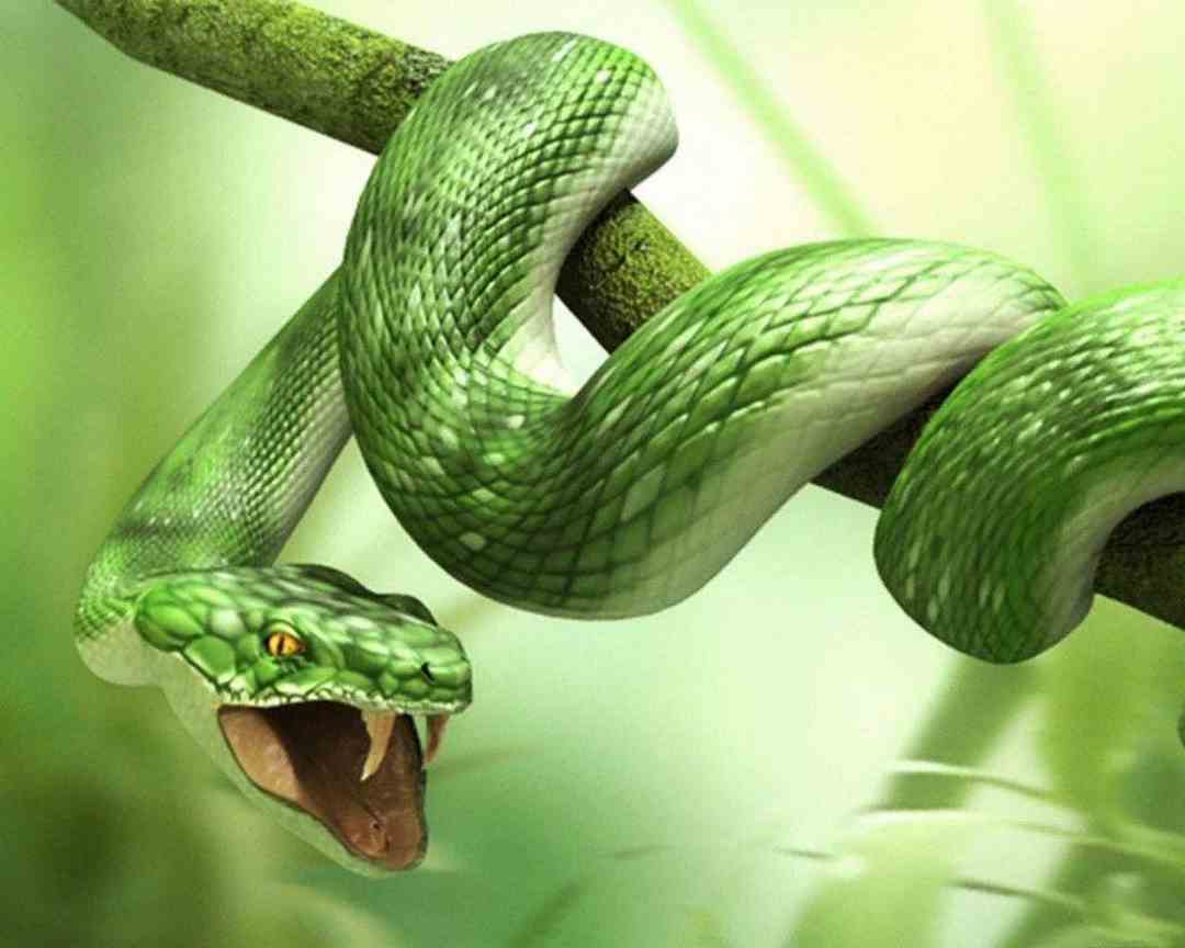 Giấc mơ về rắn sẽ giúp bạn dự đoán tương lai