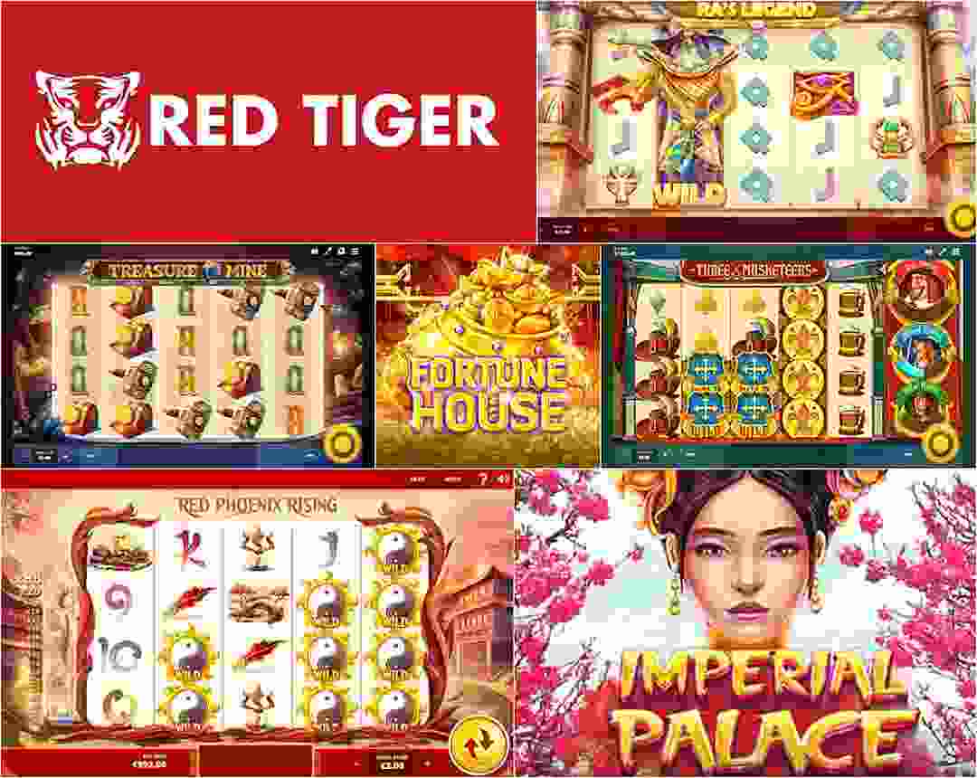 red tiger chính thức hoạt động trên thị trường